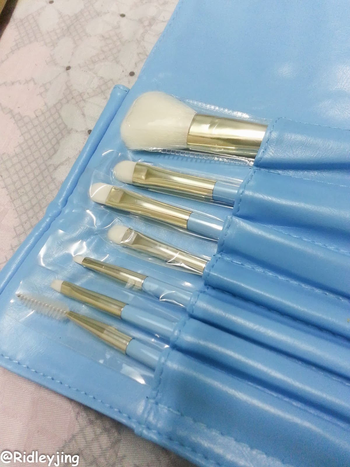 CERRO QREEN Cosmetic Makeup Brush Set [Review] Ridley Jing