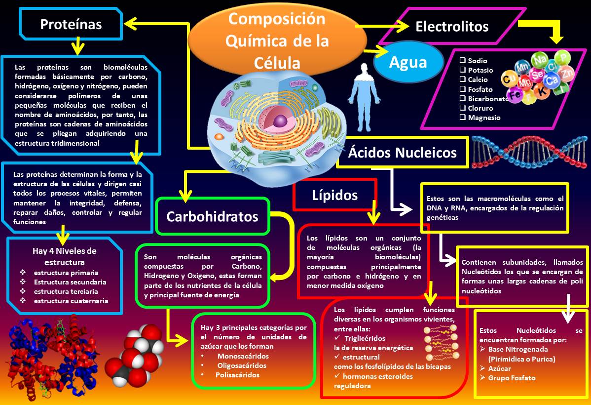 Alejandro Valenzuela Blog de Fisiología Básica UAS Composición Química de la Célula