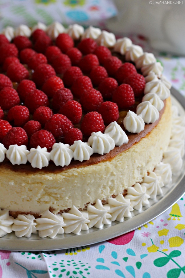 Apricot and Raspberry Junior's Cheesecake
