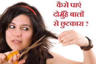 domuhe-bal-upchar-spli-end-hair-treatment-home-ayurveda-remedy-hindi