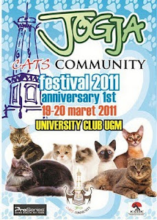 jogja cat's festival 2011, kontes kucing, lomba kucing, festival kucing