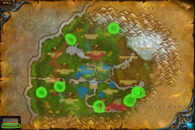 Wow Cat Pet Sit Druid Back Wow Cat Pet Sit Druid Back