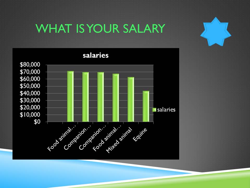 Math, Who Needs It? Arlette's Career as a Veterinarian