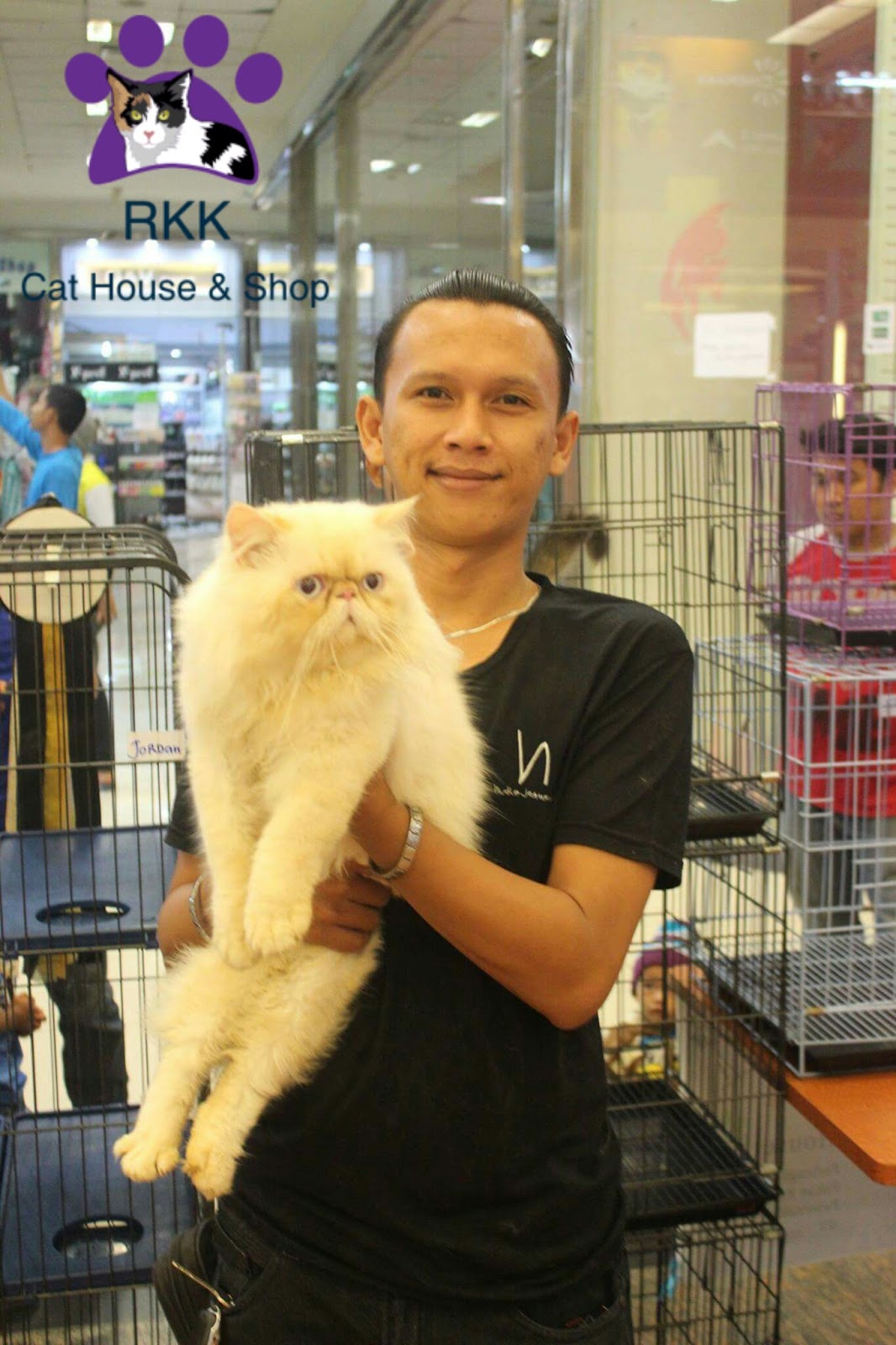 Rumah Kucing Kaka: PACAK KUCING TANGERANG
