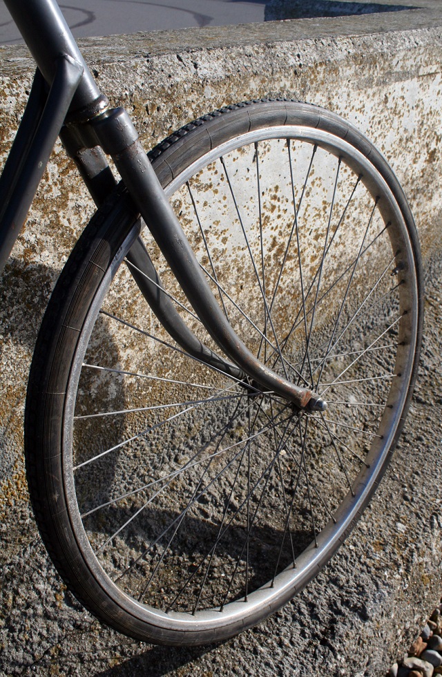 How do the thin spokes and rims of bicycle wheels bear the weight of