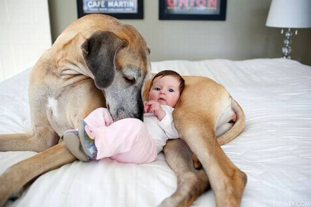 Picdump-015.jpg