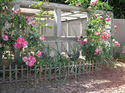 coop chicken coops garden gal