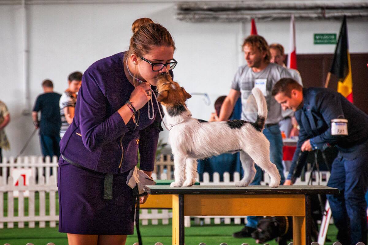 MALIJACK Hi, I'm junior handler