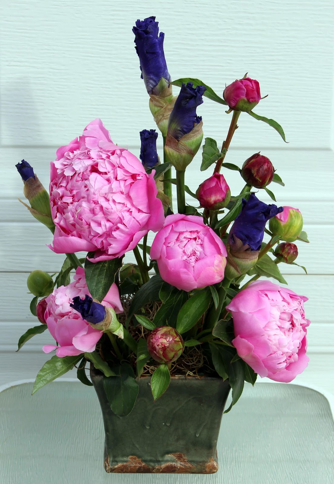 TALL BEARDED IRISES AND PEONIESA perfect match for spring