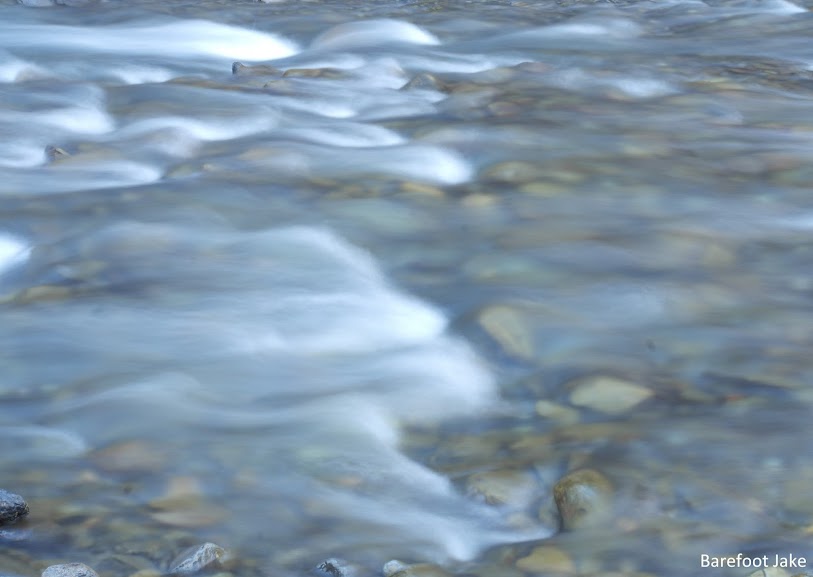East Fork Quinault River