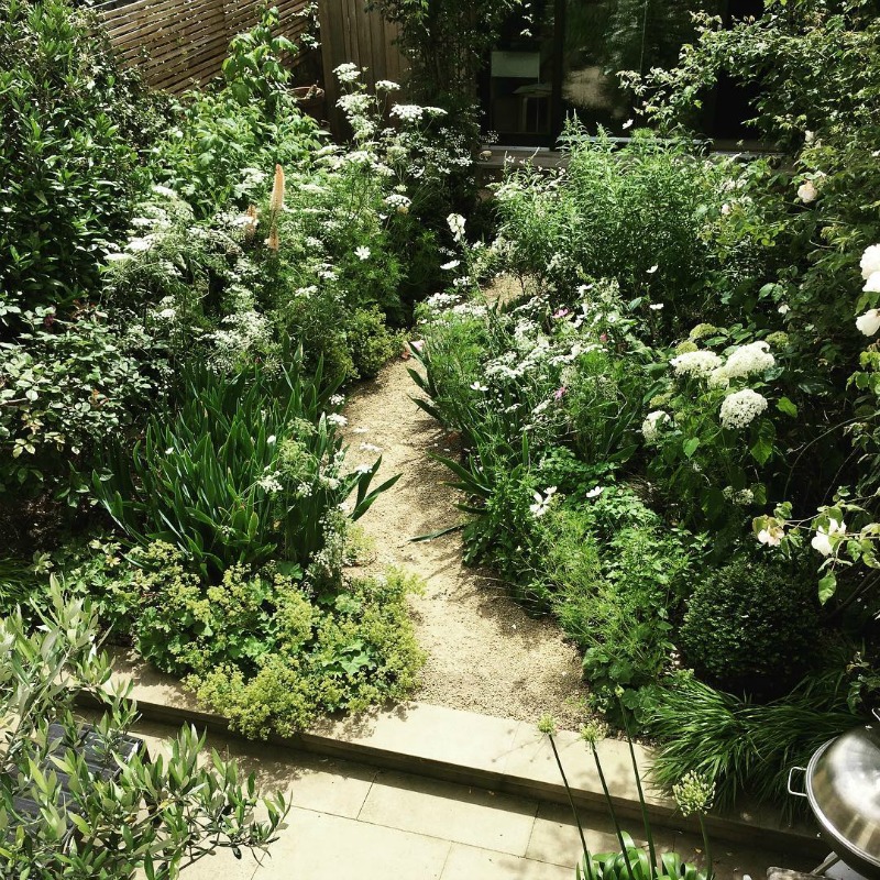 Un pequeño patio convertido en jardín blanco - Guia de jardin