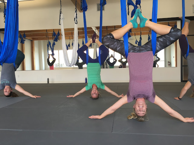 AntiGravity® Fitness What to Expect