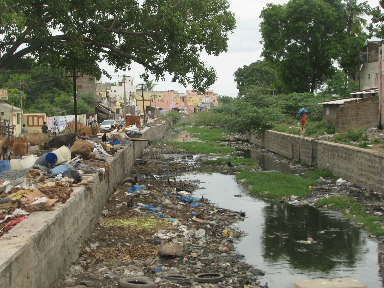 Understanding Chemistry Chemical Dynamics of Water Pollution