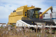 New Holland CX 780 Combine. Poppy & Opium