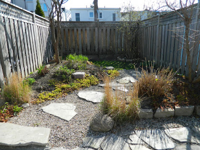 Coxwell Danforth backyard renovation before Paul Jung Gardening Services Toronto