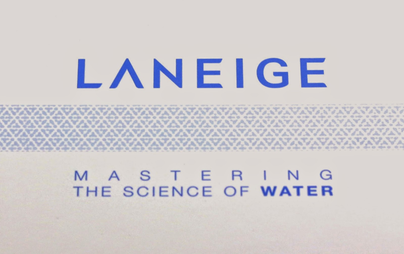 Evolution Of A Foodie Laneige Products Review evolution-of-a-foodie-laneige-products-review