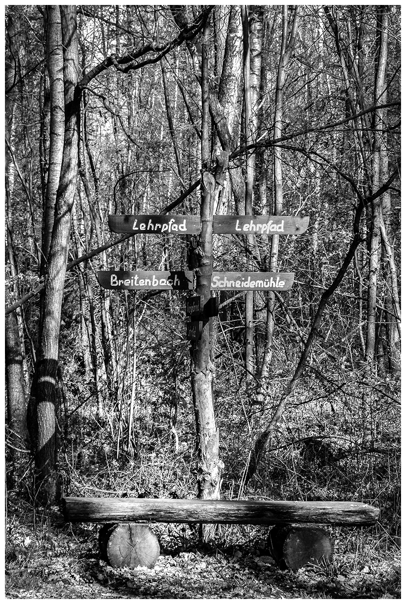 ZEITZER ANSICHTEN Schattiger Platz gesucht?