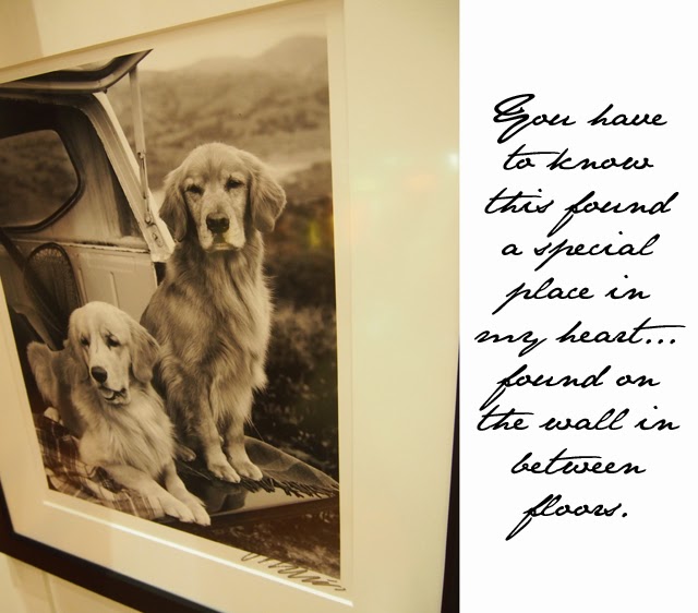 Polo Ralph Lauren 5th Avenue Polo Ralph Lauren 5th Avenue