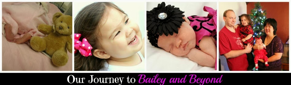 Our Journey to Bailey & Beyond