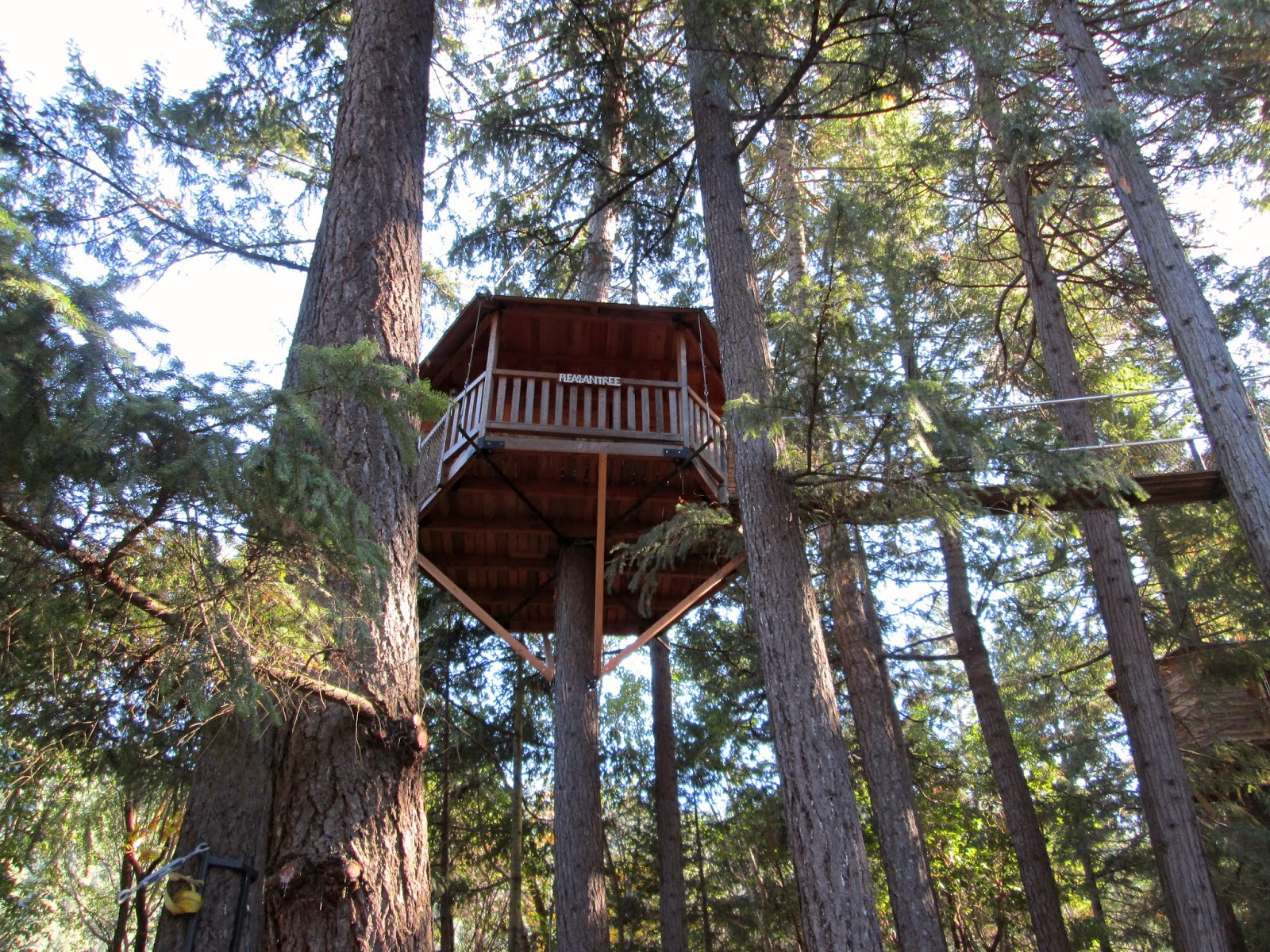 Susan and Matt--the big adventure: Oregon treehouse and ziplines