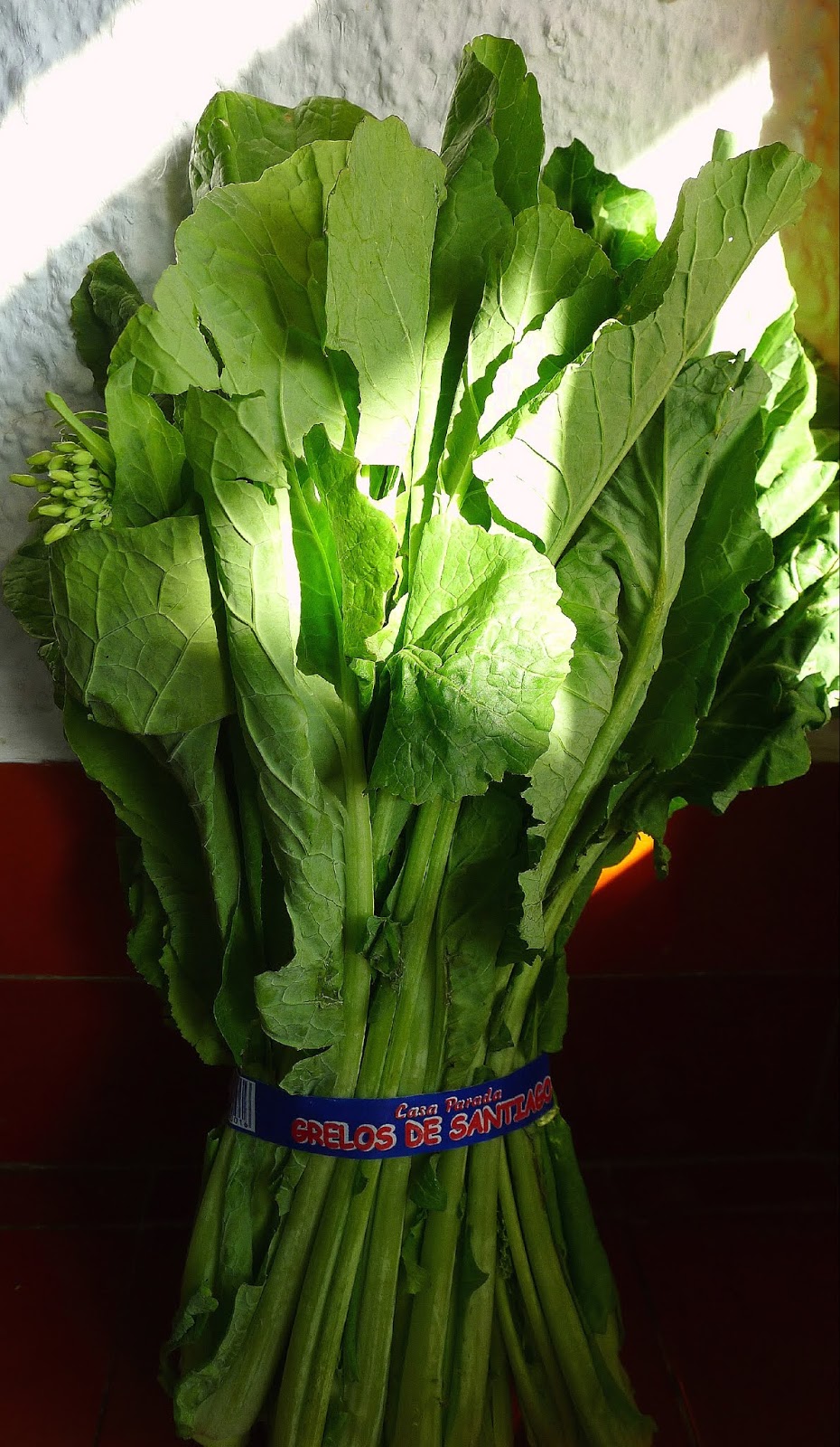 MY KITCHEN IN SPAIN GREEN INSPIRATION