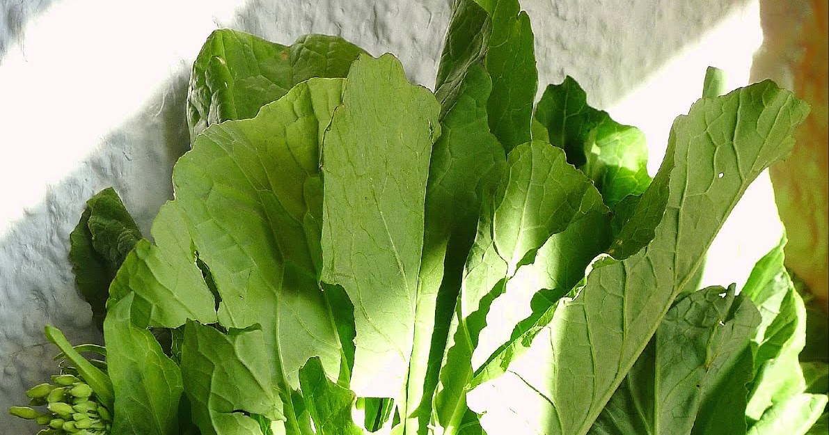 MY KITCHEN IN SPAIN GREEN INSPIRATION