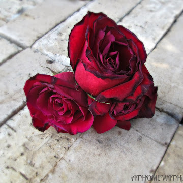 Inspirational Thursday-The Rose