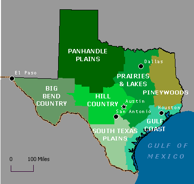 The Adventures of Ava's Flat Stanley: Stanley Visits Texas Hill Country