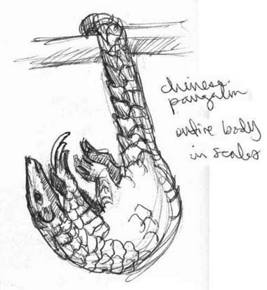 Art by Jeane Nevarez: pangolin