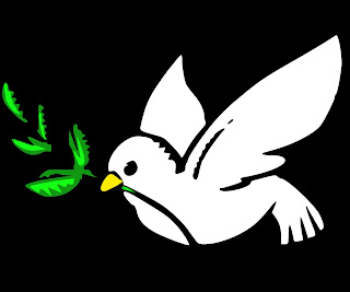 Barış Güvercini