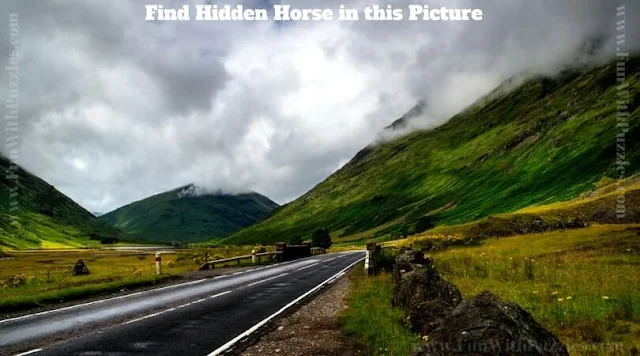 Picture Brain Teaser to find hidden horse