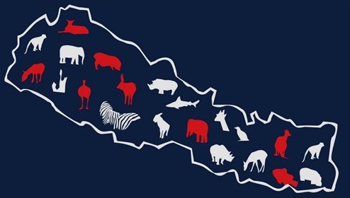 Animals of Nepal: Animal Found in Nepal