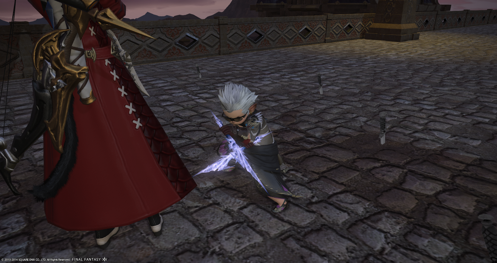 A Tank and a Healer. Shiva Extreme Weapons