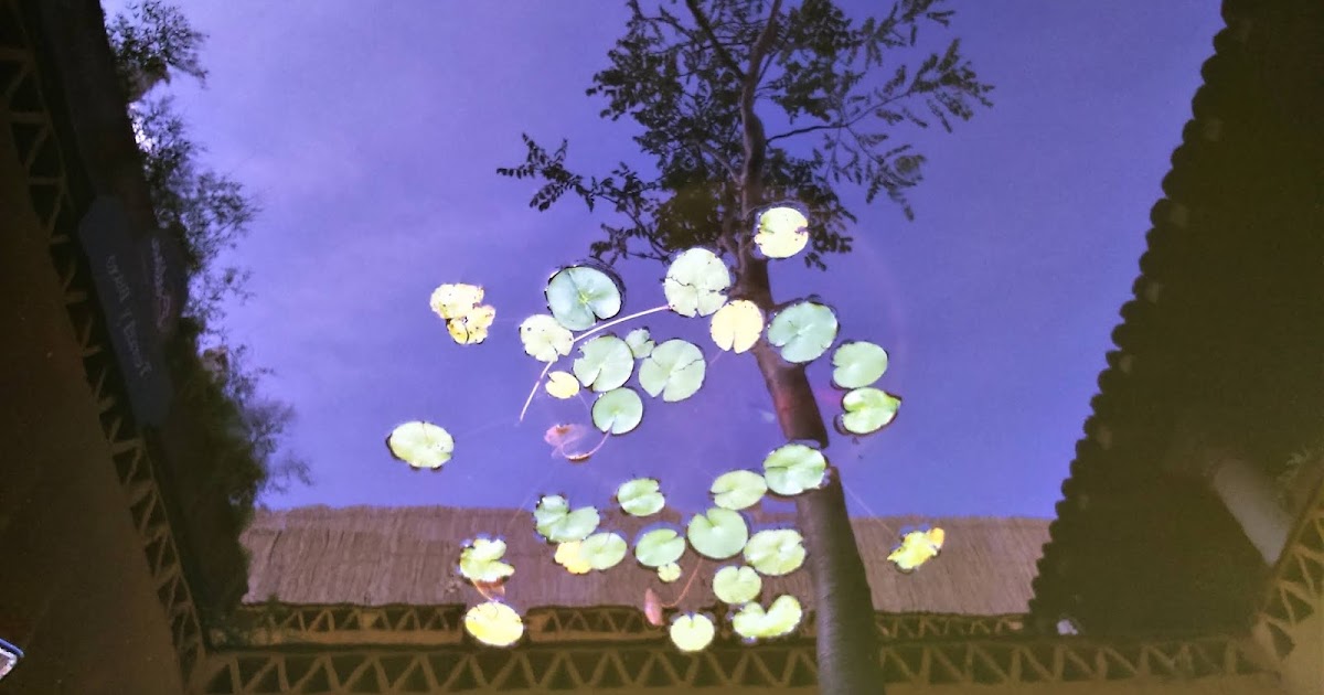 La acequia Doce años de La Acequia