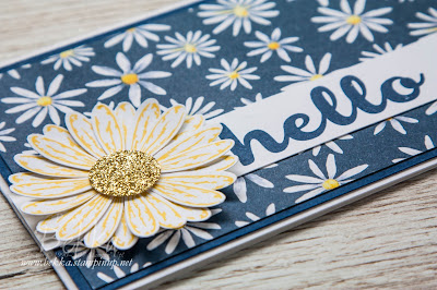 Hello Delightful Daisy Card made with Stampin' Up! UK supplies which you can buy here