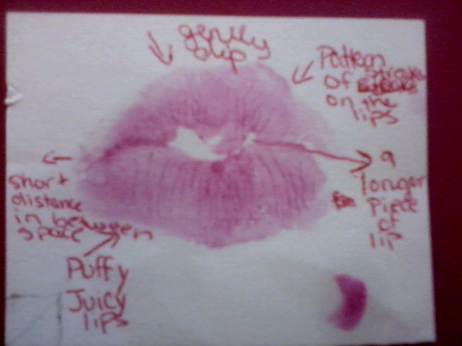 BGoffForensics Forensic Science Project Lipstick Experiment Analysis