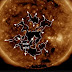 ALERTAS: viento solar se dirige a la tierra.
