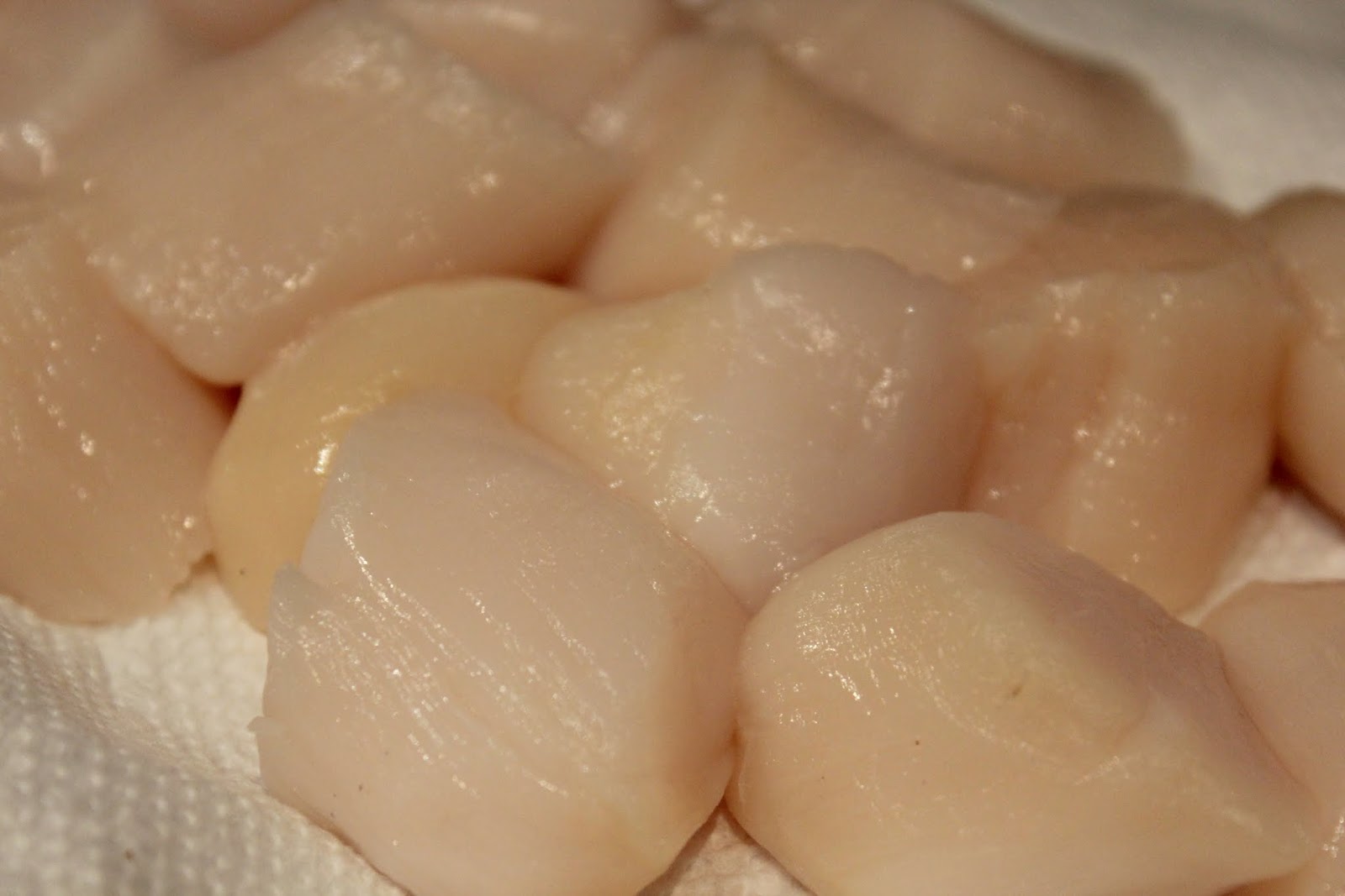 Everything in the Kitchen Sink Seared Scallops with Dijon Wine Sauce