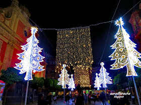 Sevilla - Navidad 2019 - Plaza del Salvador