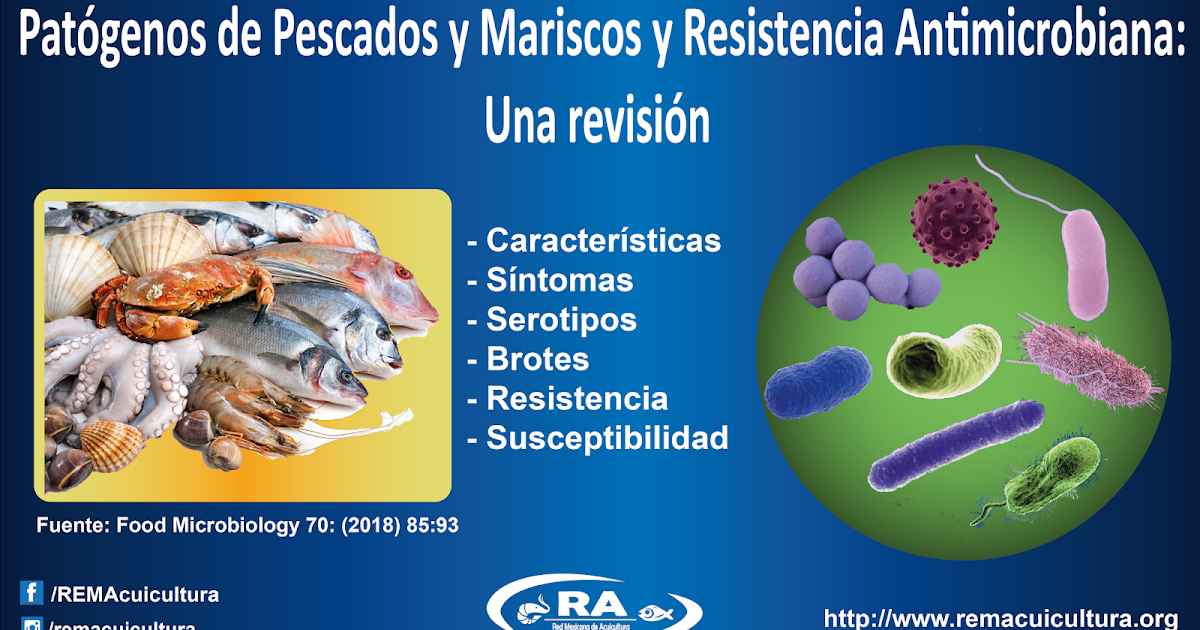 Red Mexicana de Acuicultura: Patógenos de Pescados y Mariscos e Información  de Resistencia Antimicrobiana. Una RevisiónRed Mexicana de Acuicultura