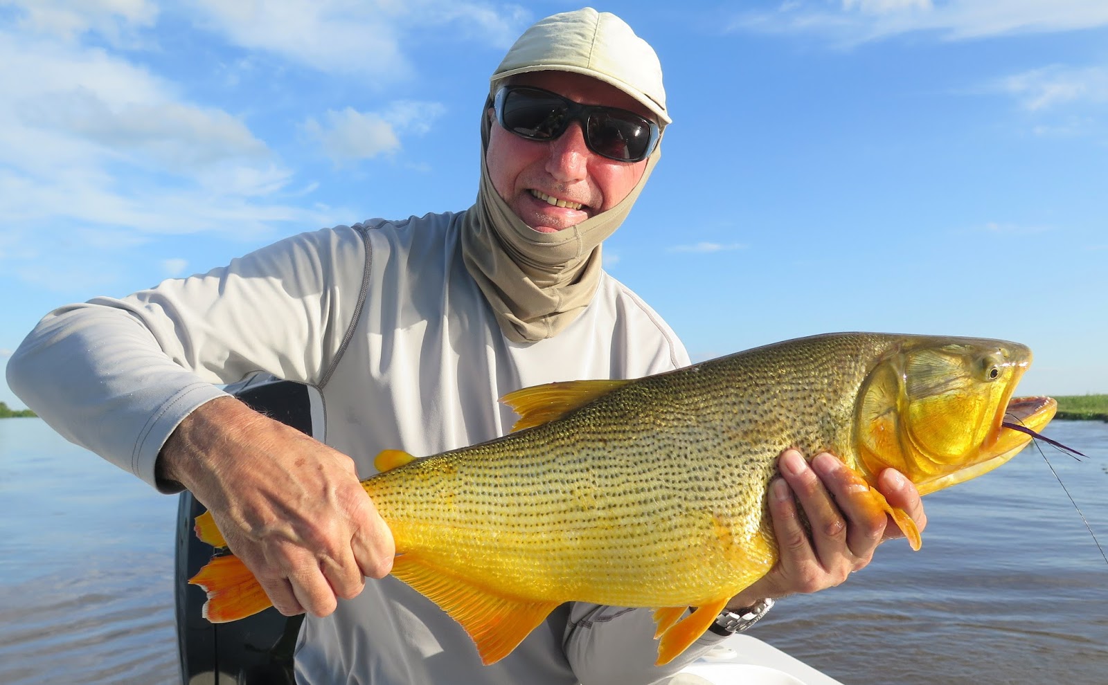 First Cast Fly Fishing Golden Dorado Argentina Buenos Aires Guided