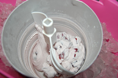 Home Made Cherry Ice Cream Photo by Trisha Field