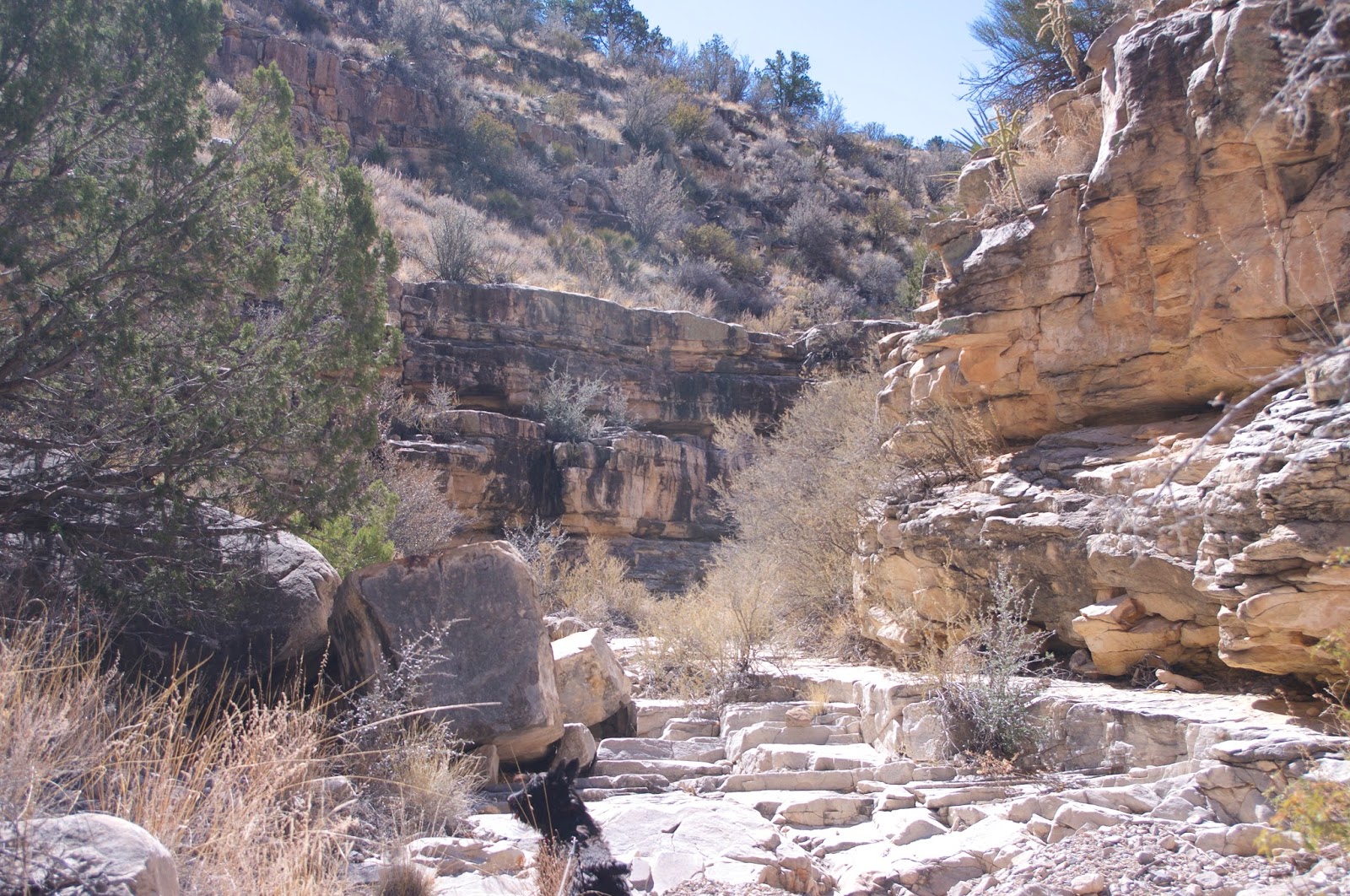 Southern New Mexico Explorer Cañoncito de la Uva Stallion Wilderness Study Area