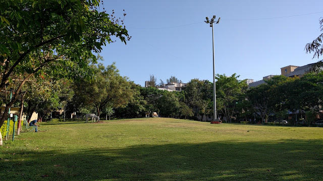 Nexus 5X camera sample 2 Nexus 5X camera sample 2