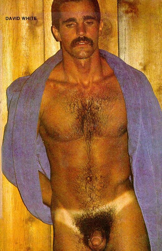Playgirl model david white — img 6