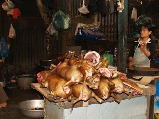 dog meat sell in Hanoi