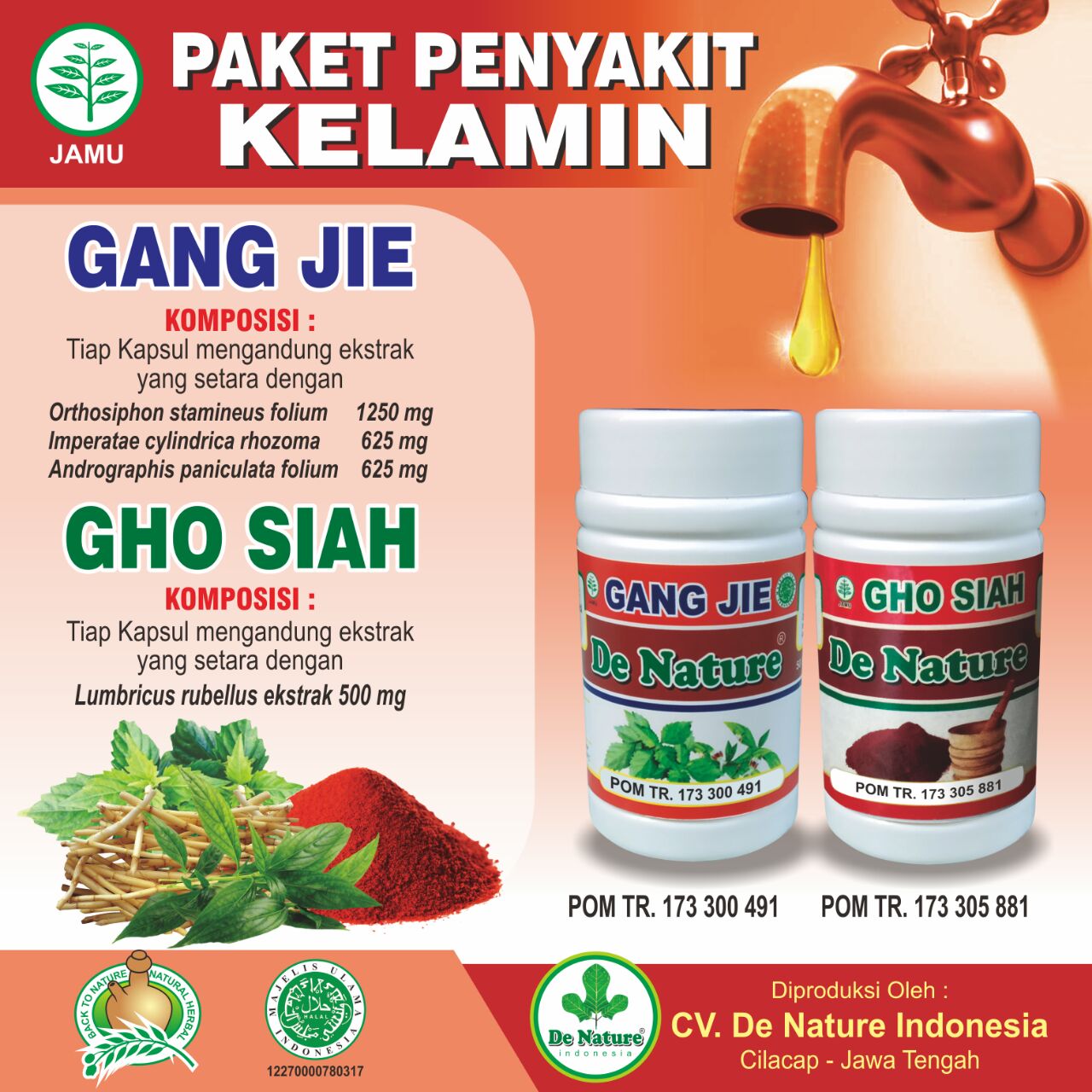 Cara Mengobati Sipilis Secara Herbal Cara Mengobati Sipilis Dengan Obat De Nature