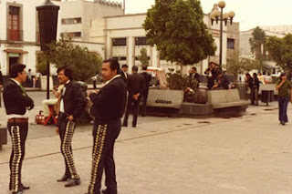 fiesta santa cecilia garibaldi