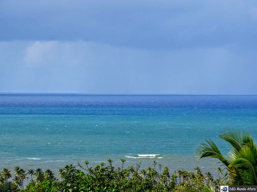 O que fazer na Praia do Forte (Bahia) O que fazer na Praia do Forte (Bahia)
