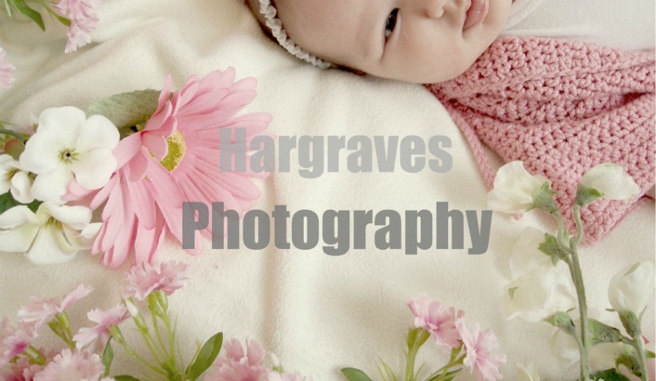 Hargraves Photography